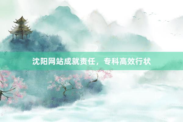 沈阳网站成就责任，专科高效行状